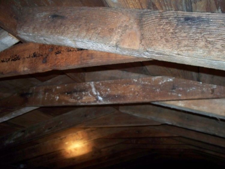 local roofer local roofing